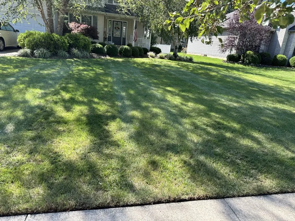 Affordable outdoor landscaping in Amherst, OH - High Class Grass