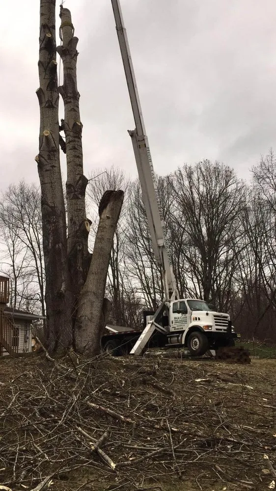 Local landscaping services with custom design in Randolph, NJ by High Class Tree Service