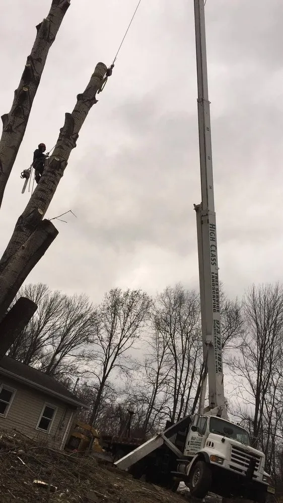 Professional lawn care service for homes in Randolph, NJ by High Class Tree Service