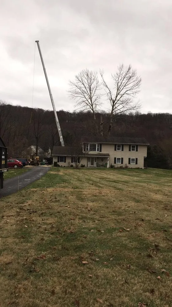 Custom landscape installation for residential properties in Randolph, NJ by High Class Tree Service