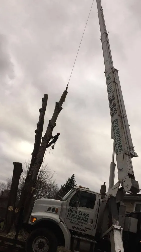 Local landscaping services in Randolph, NJ by High Class Tree Service