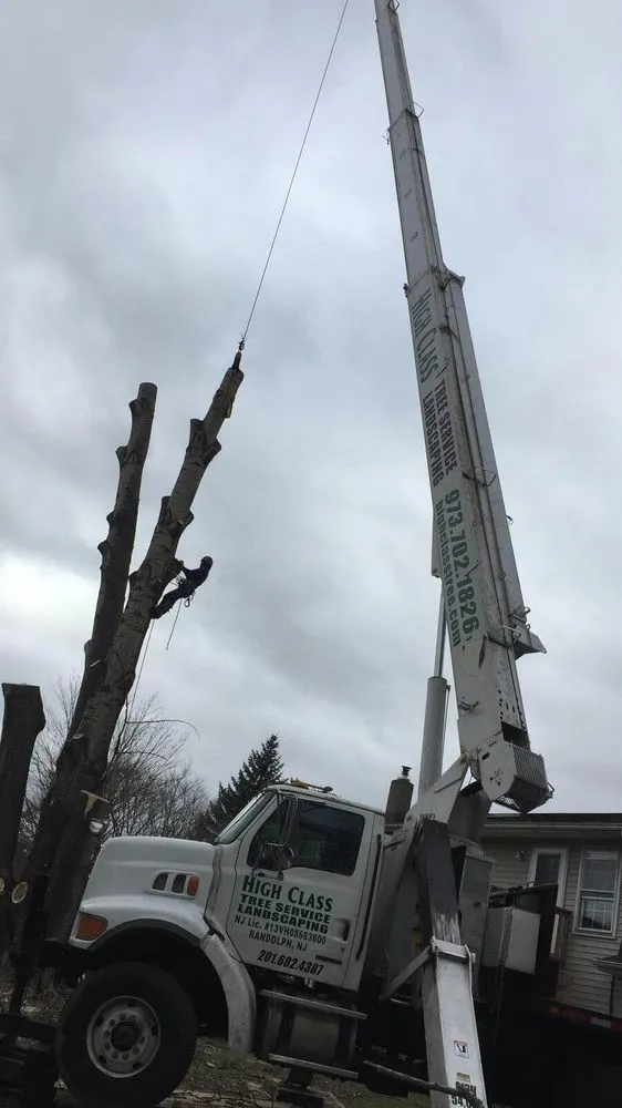 Trusted outdoor landscaping in Randolph, NJ - High Class Tree Service