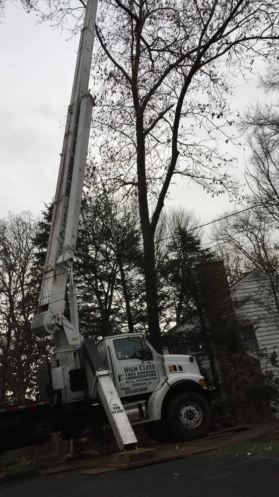Trusted garden landscaping in Randolph, NJ by High Class Tree Service