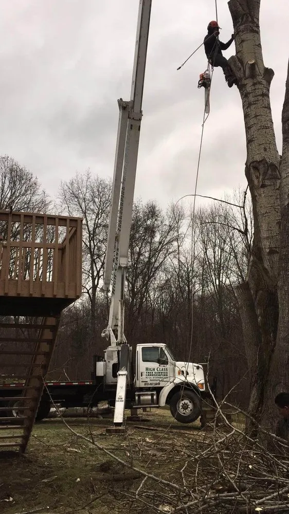 Top-rated lawn care service for year-round maintenance across Randolph, NJ - High Class Tree Service