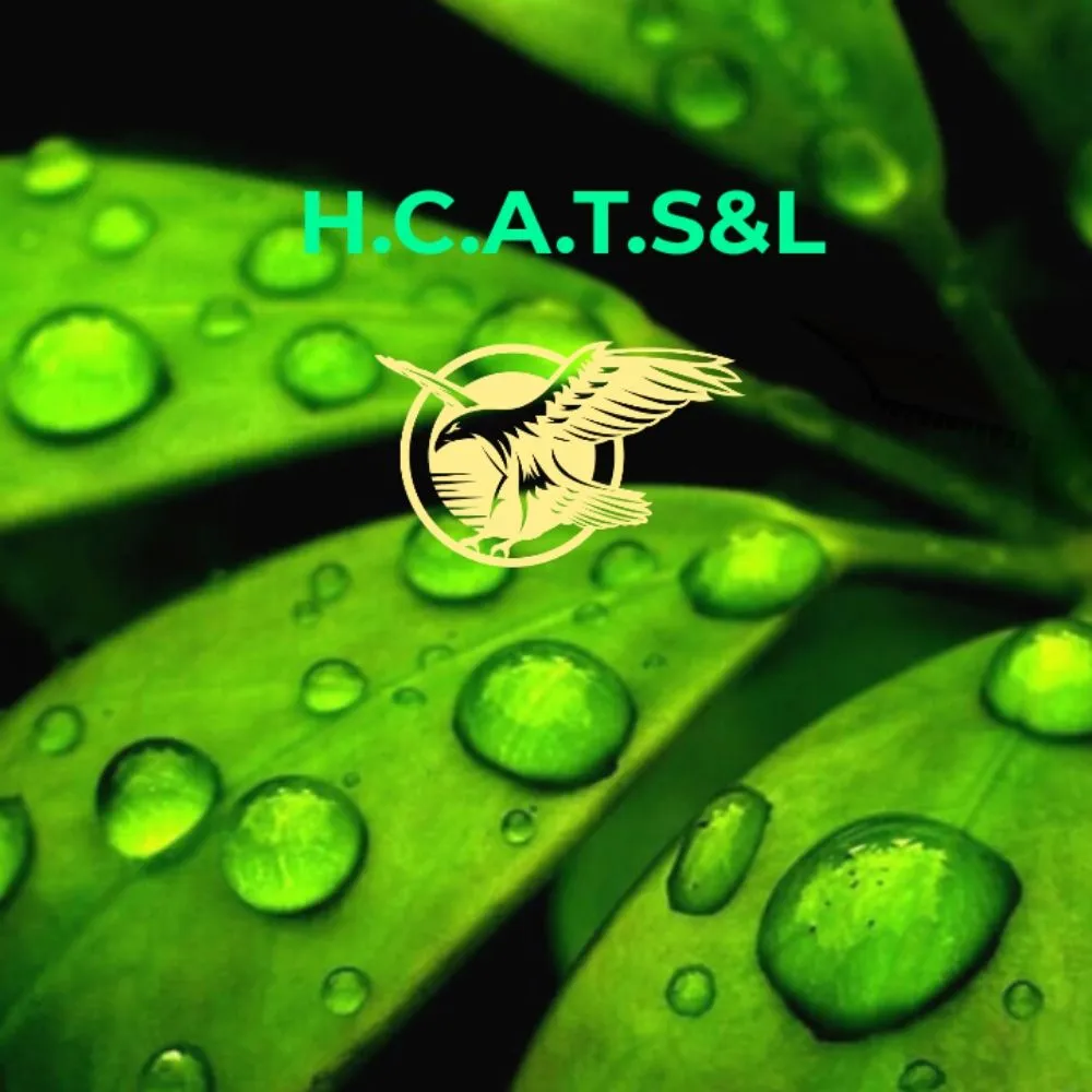 Local landscape design experts serving Huntsville, AL - High Climber Affordable Tree Services & Landscaping