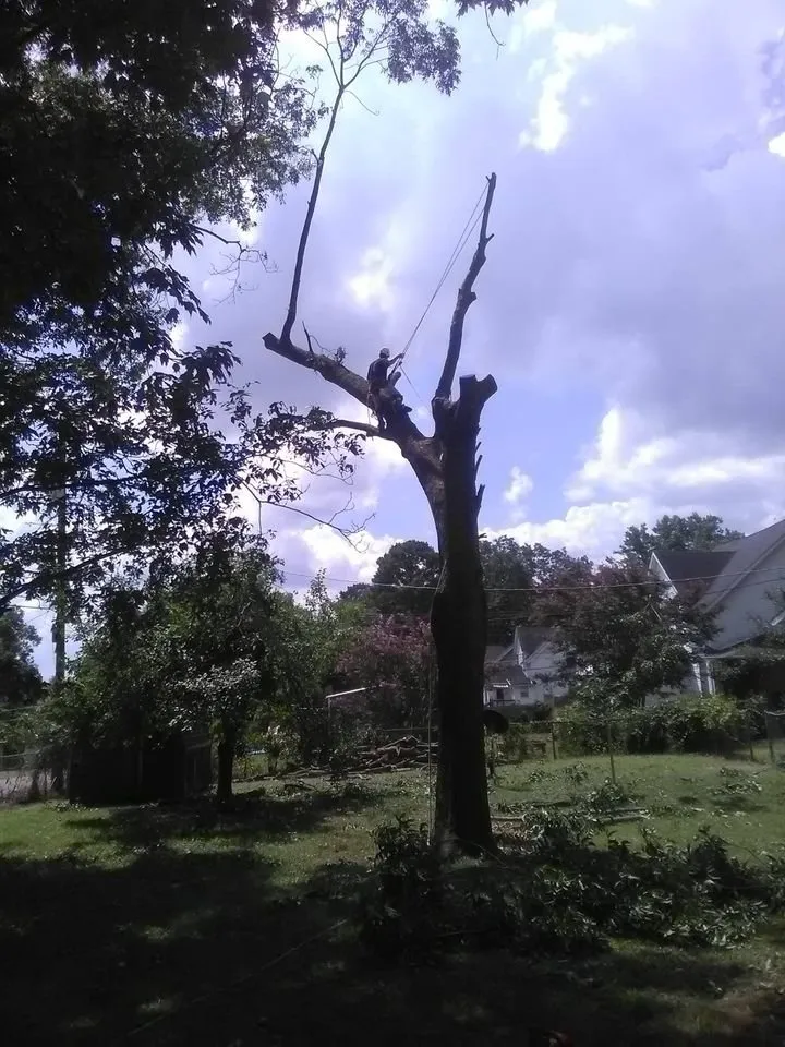 Trusted residential landscaping in Huntsville, AL - High Climber Affordable Tree Services & Landscaping