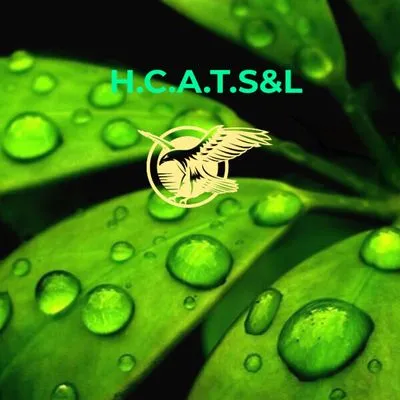 High Climber Affordable Tree Services & Landscaping Logo