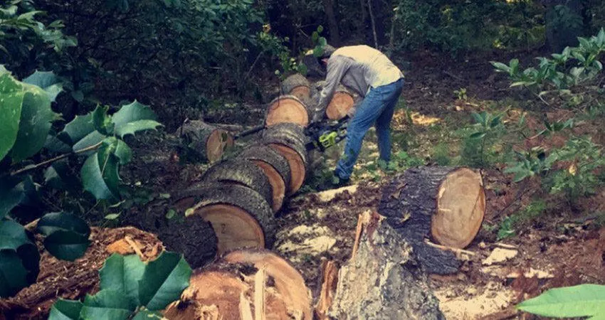 Custom yard maintenance in Hendersonville, NC by High Country Landscapes