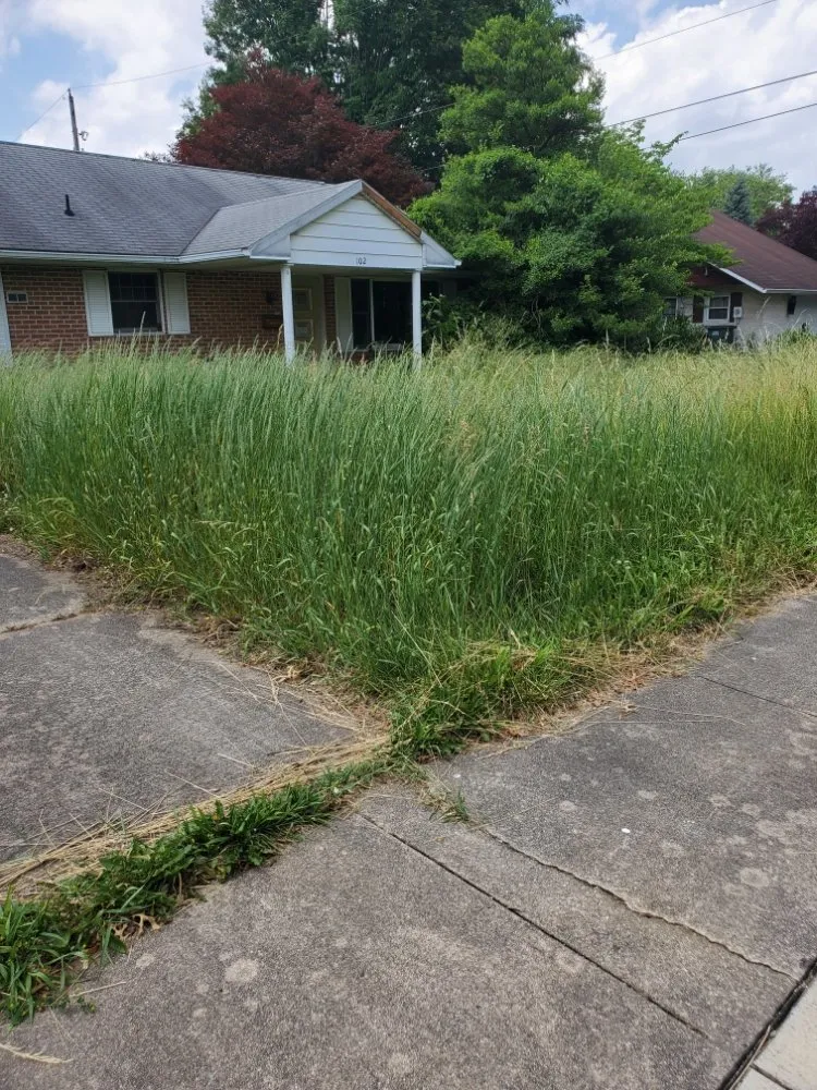 Expert residential landscaping in Dallastown, PA - High Country Landscaping