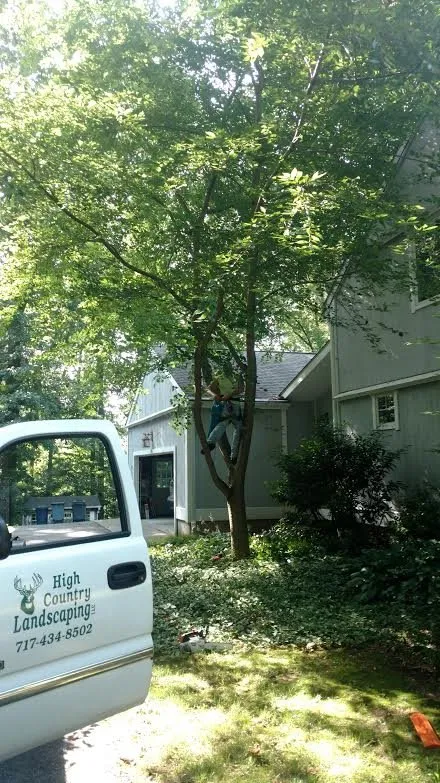 Expert lawn care service for homes in Dallastown, PA by High Country Landscaping