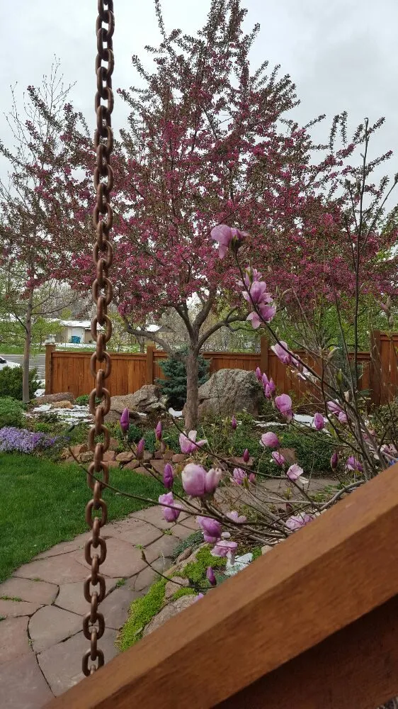 Affordable landscaping services near you in Fort Collins, CO by High Country Landscaping