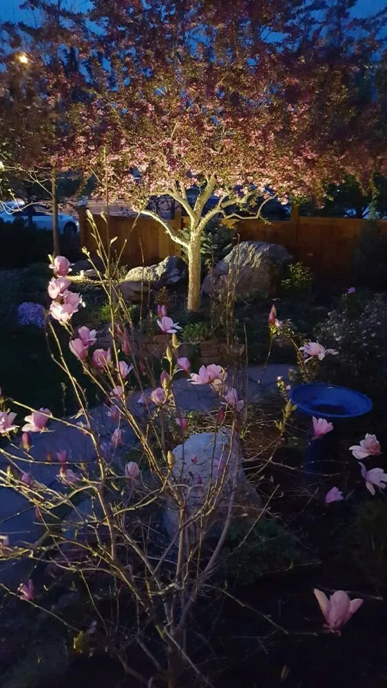 Trusted landscape design experts serving Fort Collins, CO - High Country Landscaping