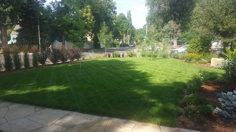 Reliable landscaping services in Fort Collins, CO - High Country Landscaping