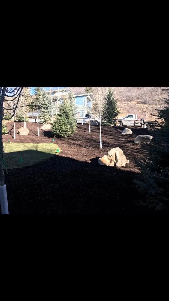 Trusted yard cleanup service experts serving Park City, UT - High Country Lawn Care & Snow Removal