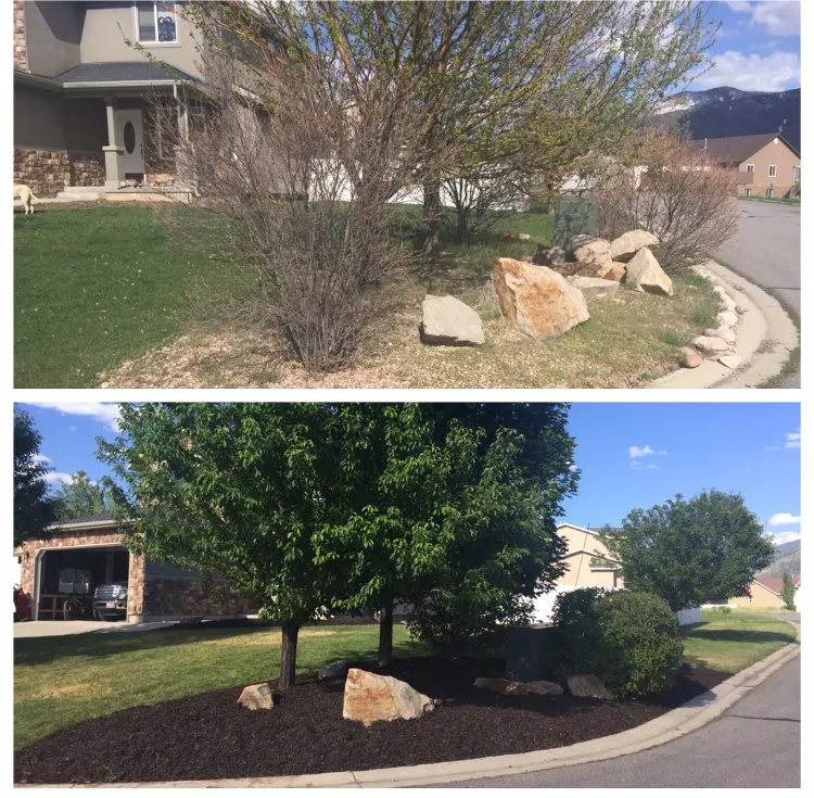 Affordable yard cleanup service experts serving Park City, UT - High Country Lawn Care & Snow Removal