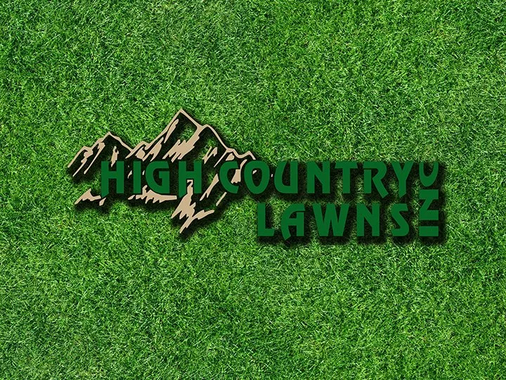 Expert yard cleanup service in Grand Junction, CO by High Country Lawns