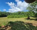 Top-rated lawn mowing service experts serving Pine Mountain Valley, GA - High Country Outdoor Services