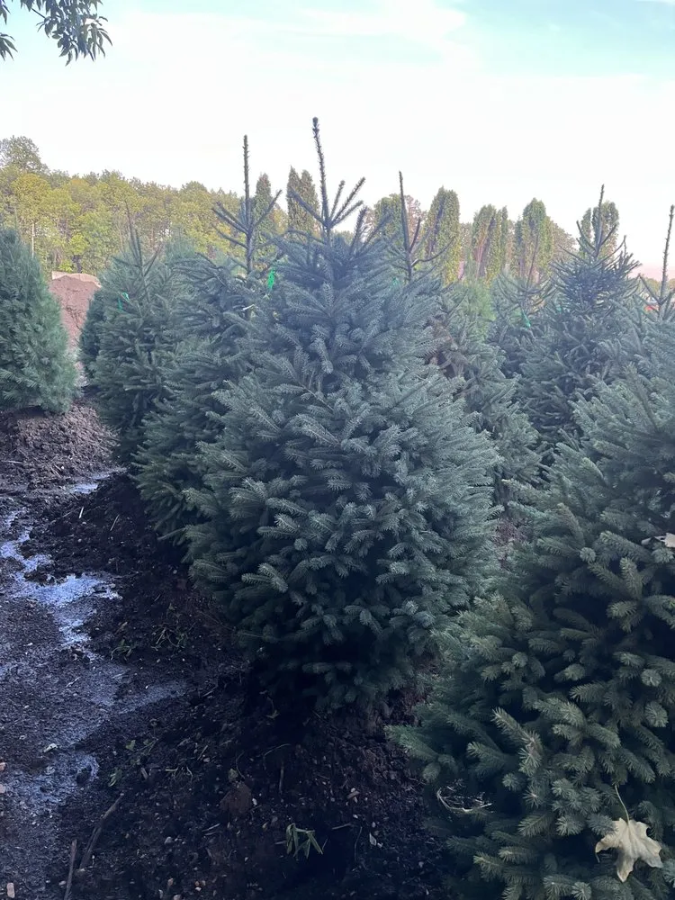 Custom landscape design in Elk River, MN by High Country Services