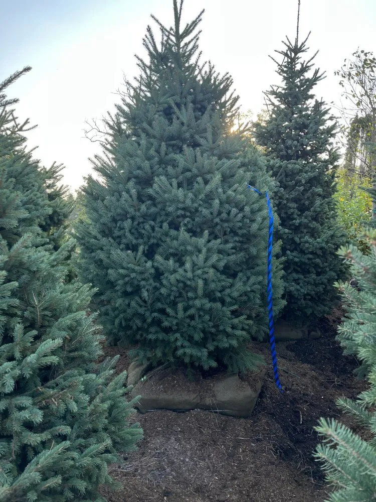 Custom garden landscaping in Elk River, MN - High Country Services