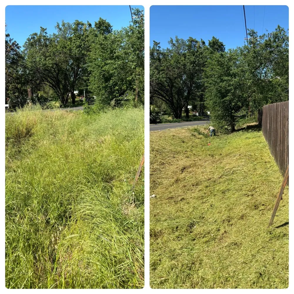 Professional landscaping services experts serving Long Barn, CA - High Country Solutions