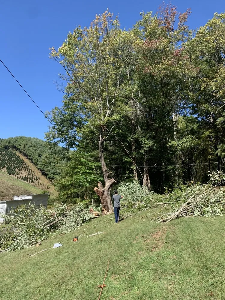 Top-rated residential landscaping near you across Todd, NC - High Country Tree Service