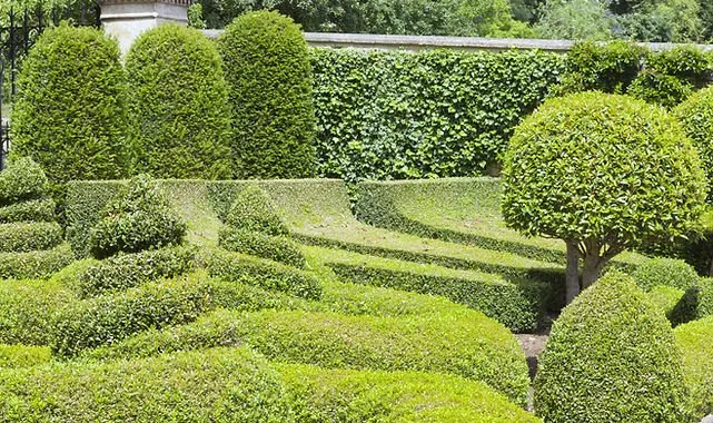 Expert lawn care service in Oklahoma City, OK by High Definition Lawn and Landscape