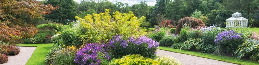 Top-rated lawn mowing service in Oklahoma City, OK by High Definition Lawn and Landscape