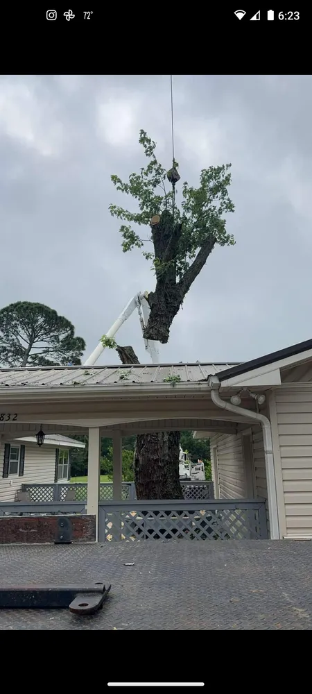 Expert garden landscaping in Baileyton, AL by High Definition Trees