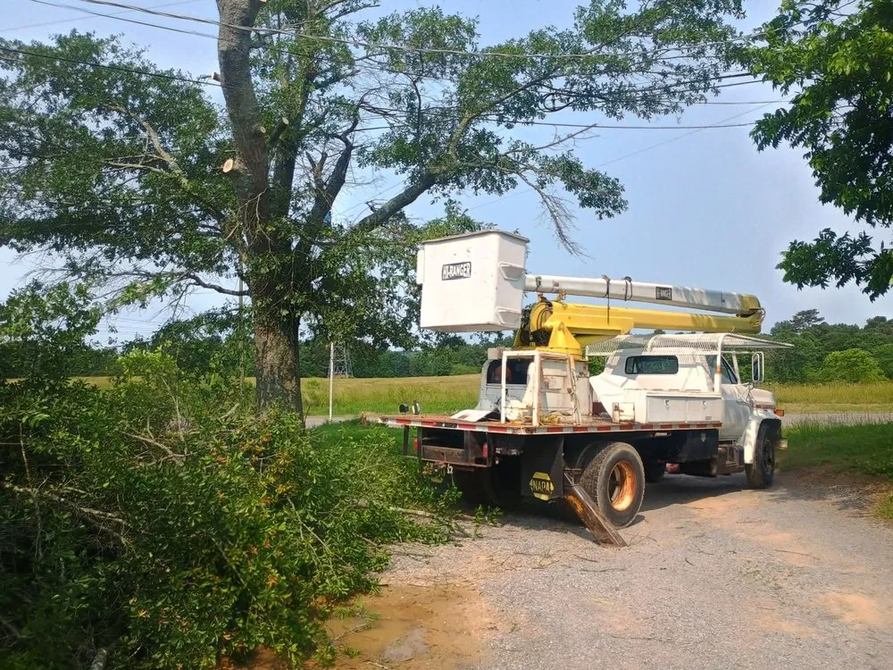 Trusted lawn care service experts serving Baileyton, AL - High Definition Trees