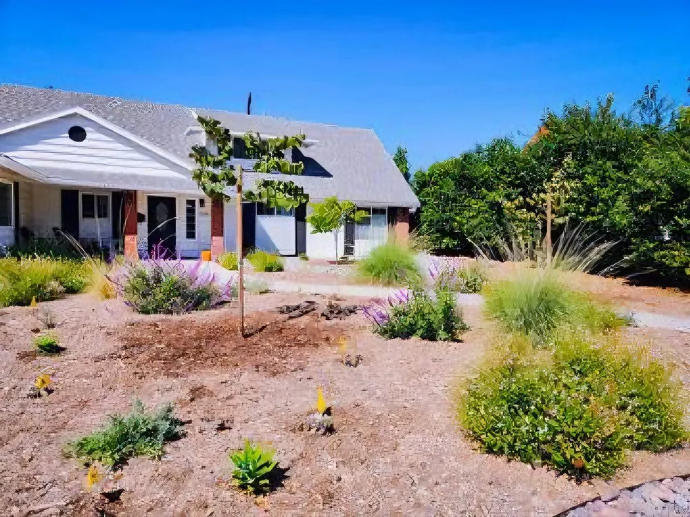 Local landscape installation in Hesperia, CA - High Desert Affordable Landscaping