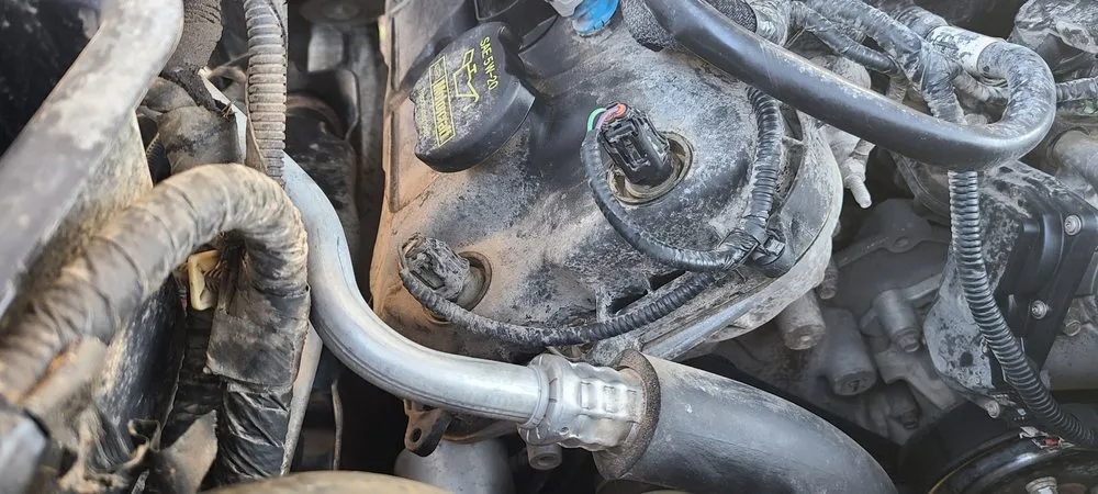 Local lawn care service experts serving Prescott Valley, AZ - High Desert Auto and Home Renewal