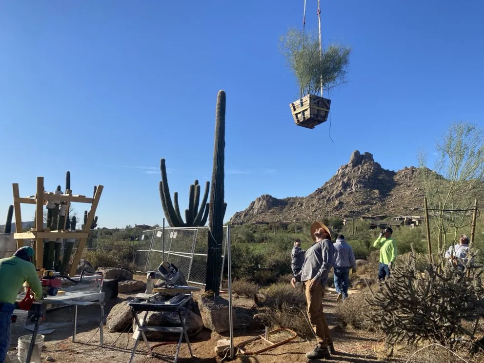 Top-rated garden landscaping near you across Phoenix, AZ - High Desert Designs