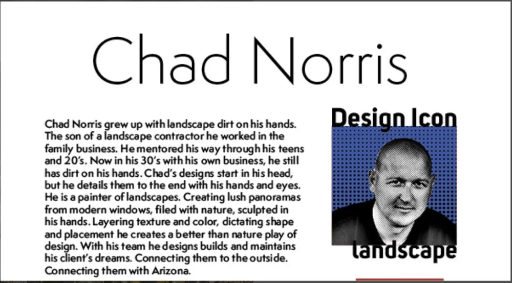 Reliable yard maintenance experts serving Phoenix, AZ - High Desert Designs