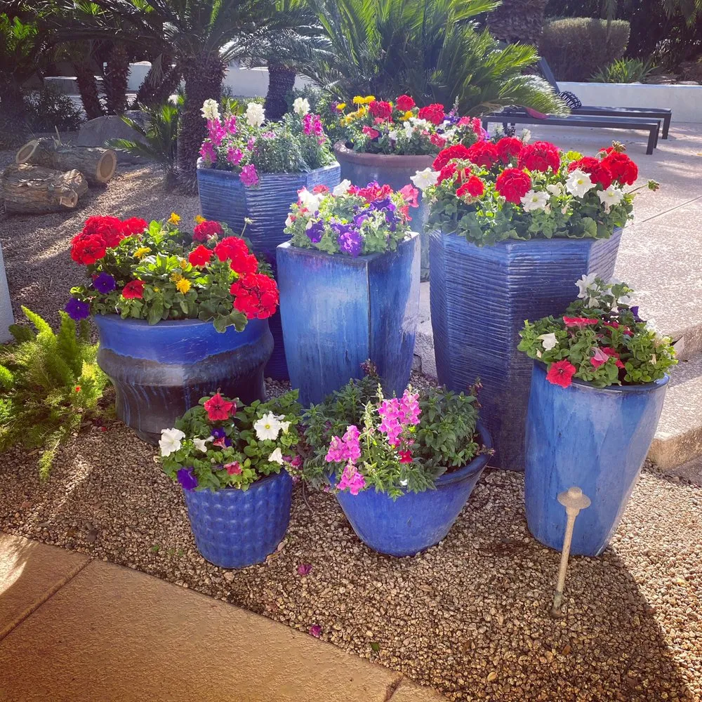 Reliable landscape design for year-round maintenance across Phoenix, AZ - High Desert Designs