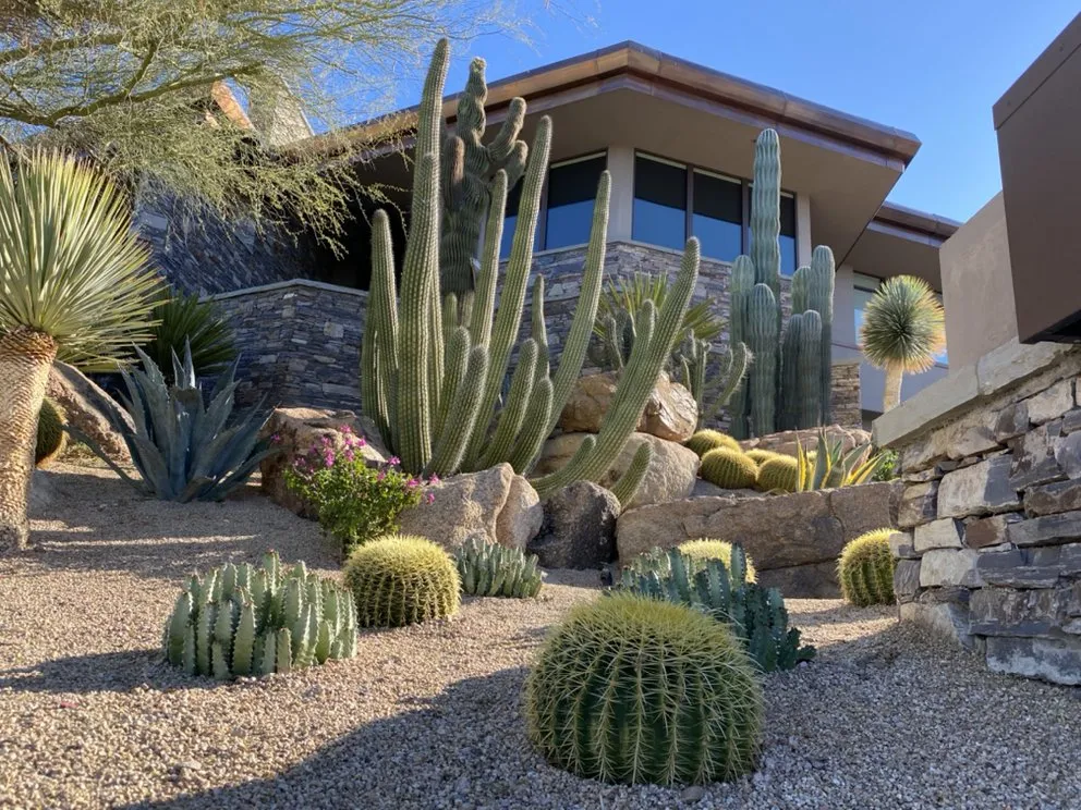Custom landscape design for residential properties in Phoenix, AZ by High Desert Designs