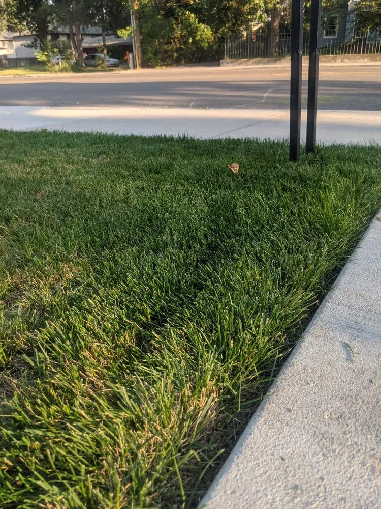 Top-rated residential landscaping for year-round maintenance in Kuna, ID by High Desert Landscape