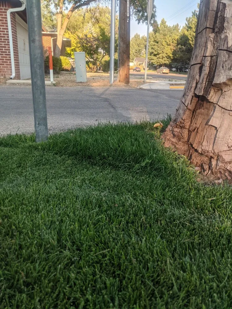 Affordable landscape installation in Kuna, ID by High Desert Landscape