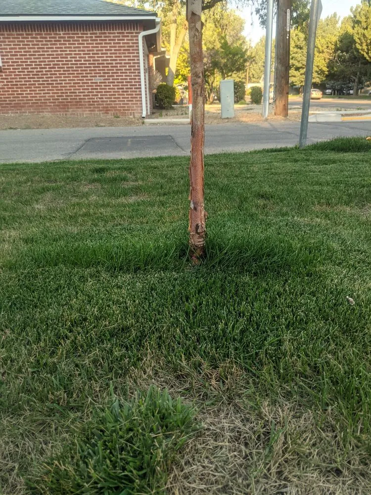 Top-rated landscape design for beautiful yards in Kuna, ID by High Desert Landscape