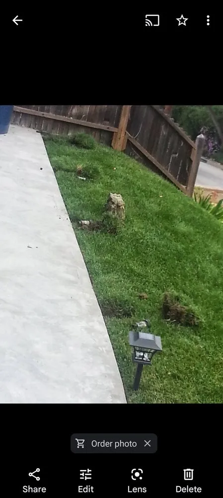 Local garden landscaping for residential properties in Palmdale, CA by High Desert Landscaping and Pressure Wash