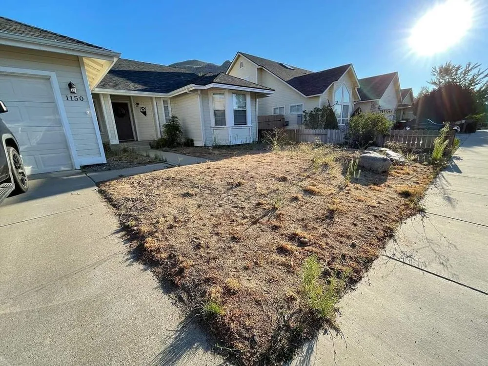 Reliable yard cleanup service in Carson City, NV by High Desert Lawn Care and Landscape