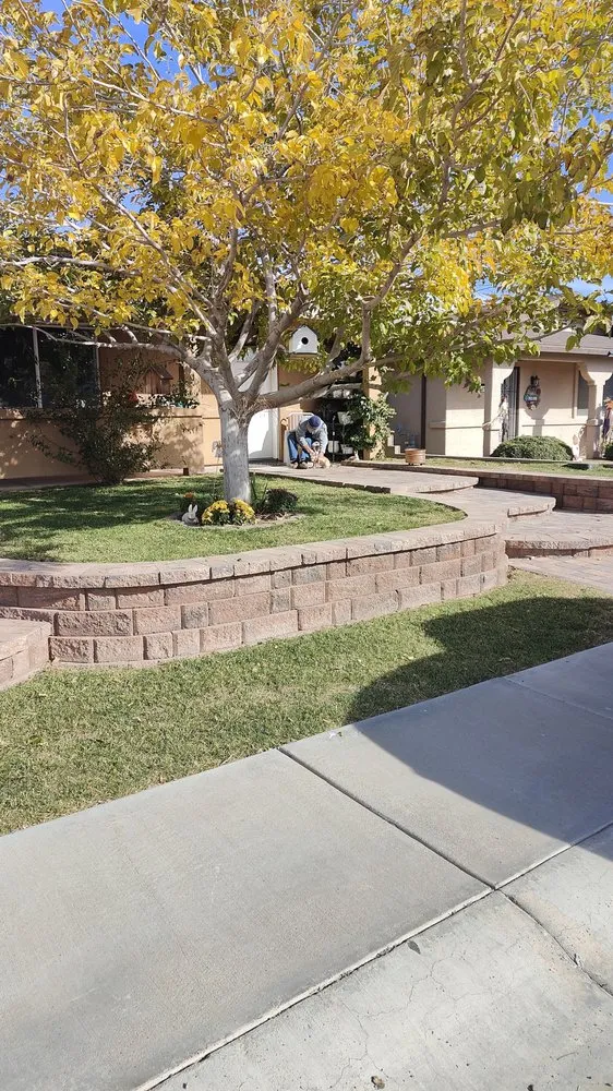 Custom landscape installation in Kingman, AZ by High Desert Oasis