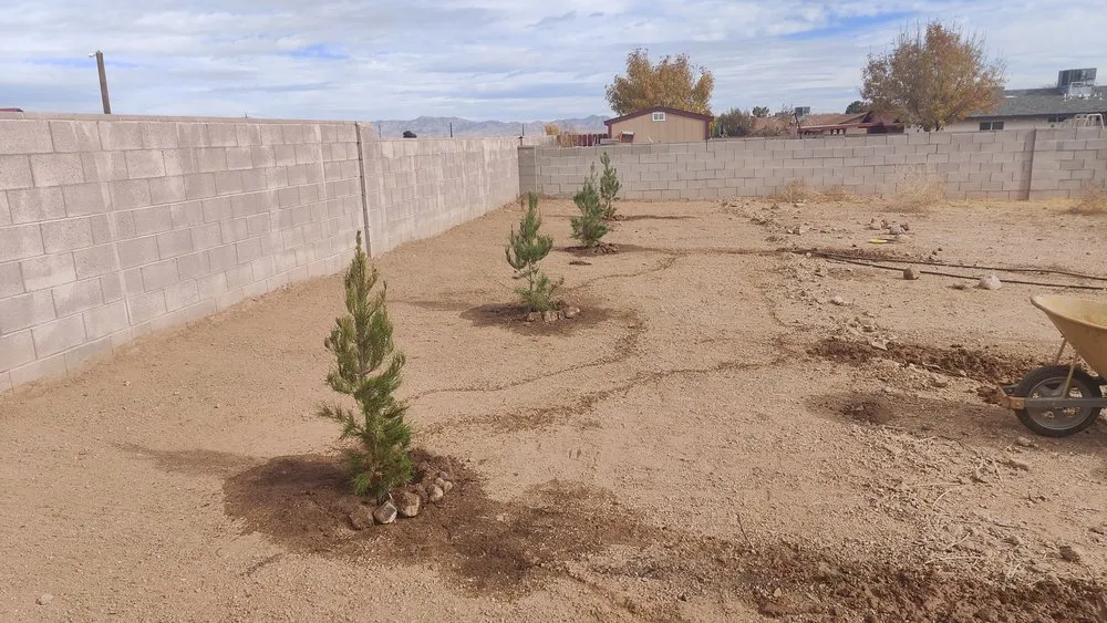 Affordable garden landscaping in Kingman, AZ by High Desert Oasis