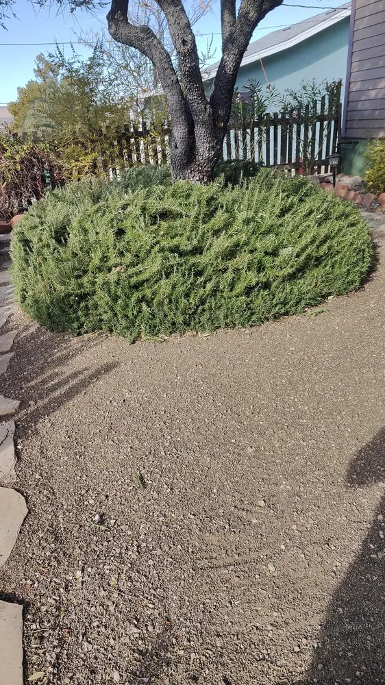 Professional landscape design experts serving Kingman, AZ - High Desert Oasis