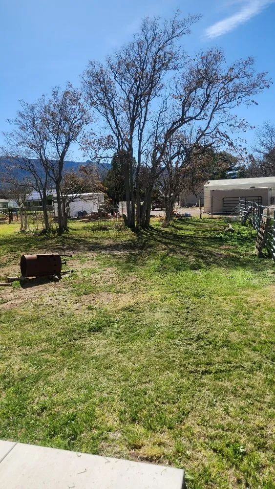 Affordable outdoor landscaping for beautiful yards across RIMROCK, AZ - High Desert Tree & Lawn Care
