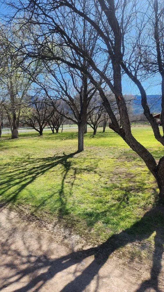 Affordable landscape design experts serving RIMROCK, AZ - High Desert Tree & Lawn Care