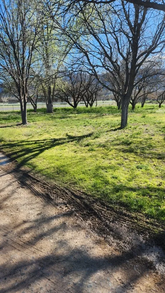 Professional yard maintenance near you in RIMROCK, AZ by High Desert Tree & Lawn Care