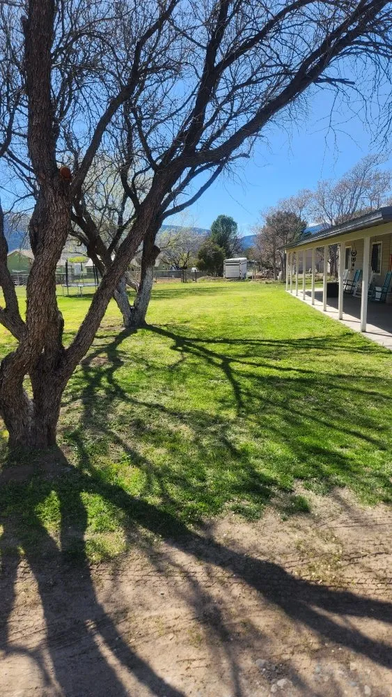 Professional lawn care service in RIMROCK, AZ - High Desert Tree & Lawn Care