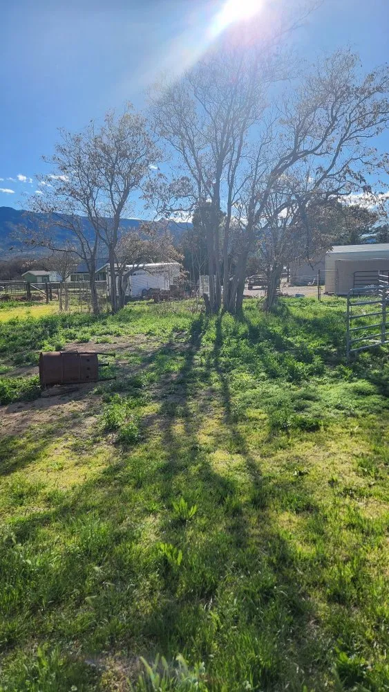 Expert landscape installation in RIMROCK, AZ - High Desert Tree & Lawn Care