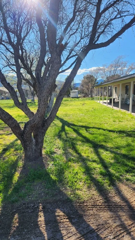 Custom yard maintenance with custom design in RIMROCK, AZ by High Desert Tree & Lawn Care