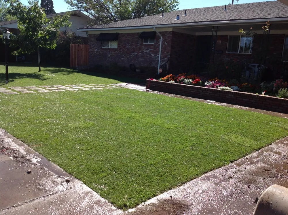 Expert landscape design in Yerington, NV - High Desert Turf